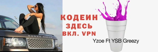 тгк Абаза