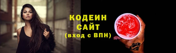 тгк Абаза