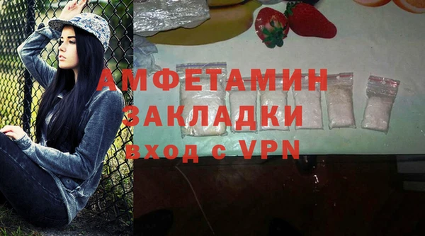 тгк Абаза