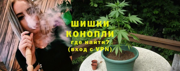 тгк Абаза